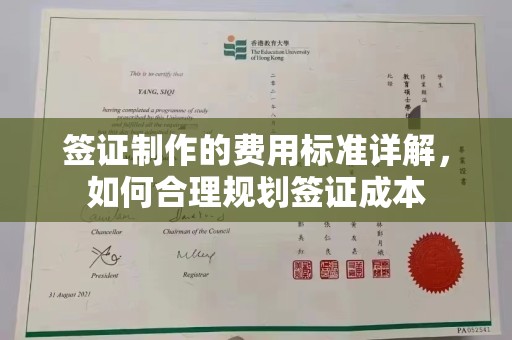 呼中签证制作的费用标准详解，如何合理规划签证成本